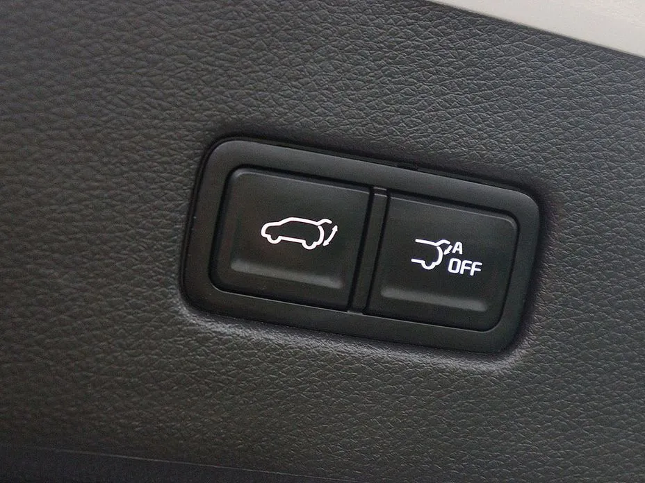 Kia Carnival — фото 10