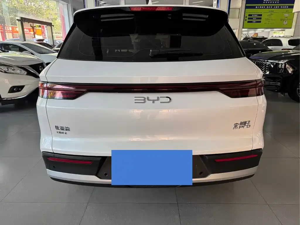 BYD Pro New Energy — фото 6