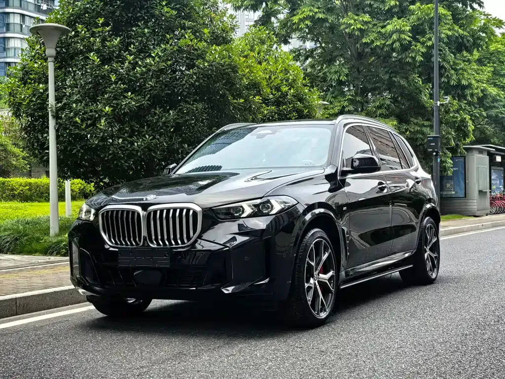 BMW X5 — фото 1