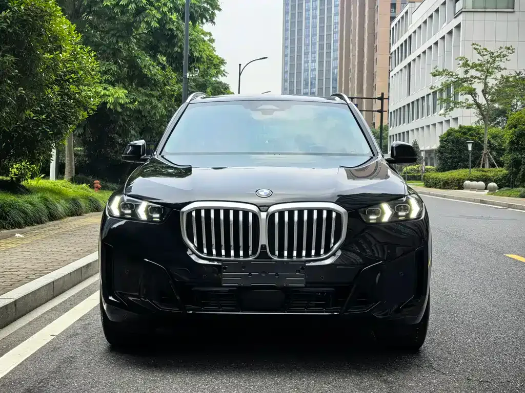 BMW X5 — фото 10