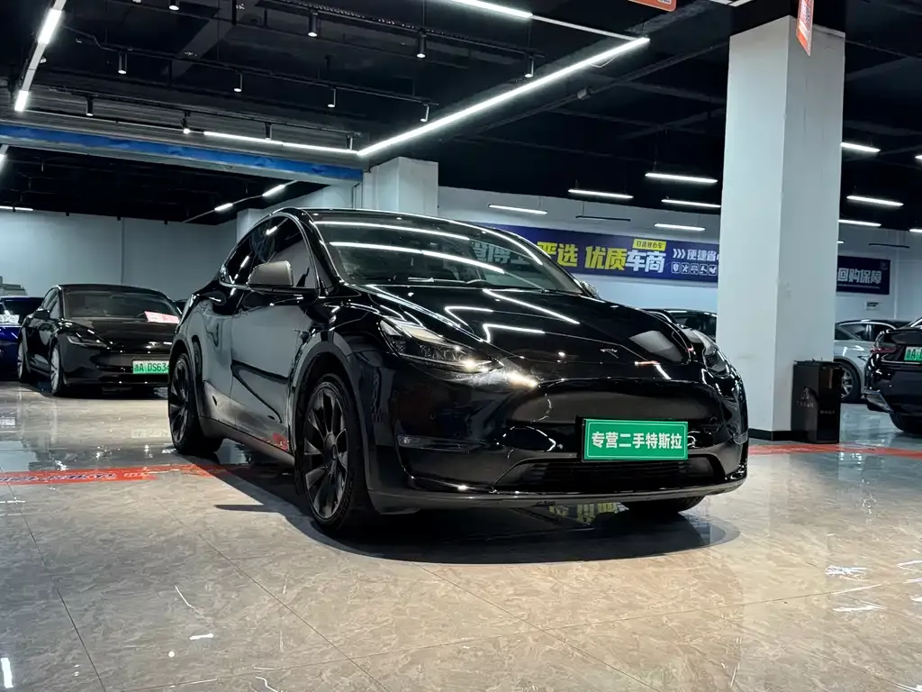 Tesla Model Y — фото 4