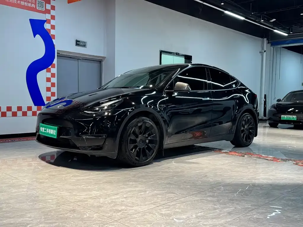 Tesla Model Y — фото 6