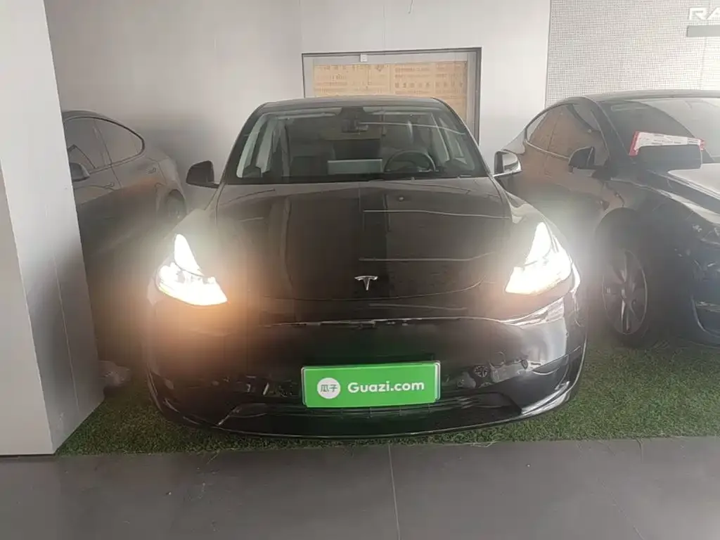Tesla Model Y — фото 6