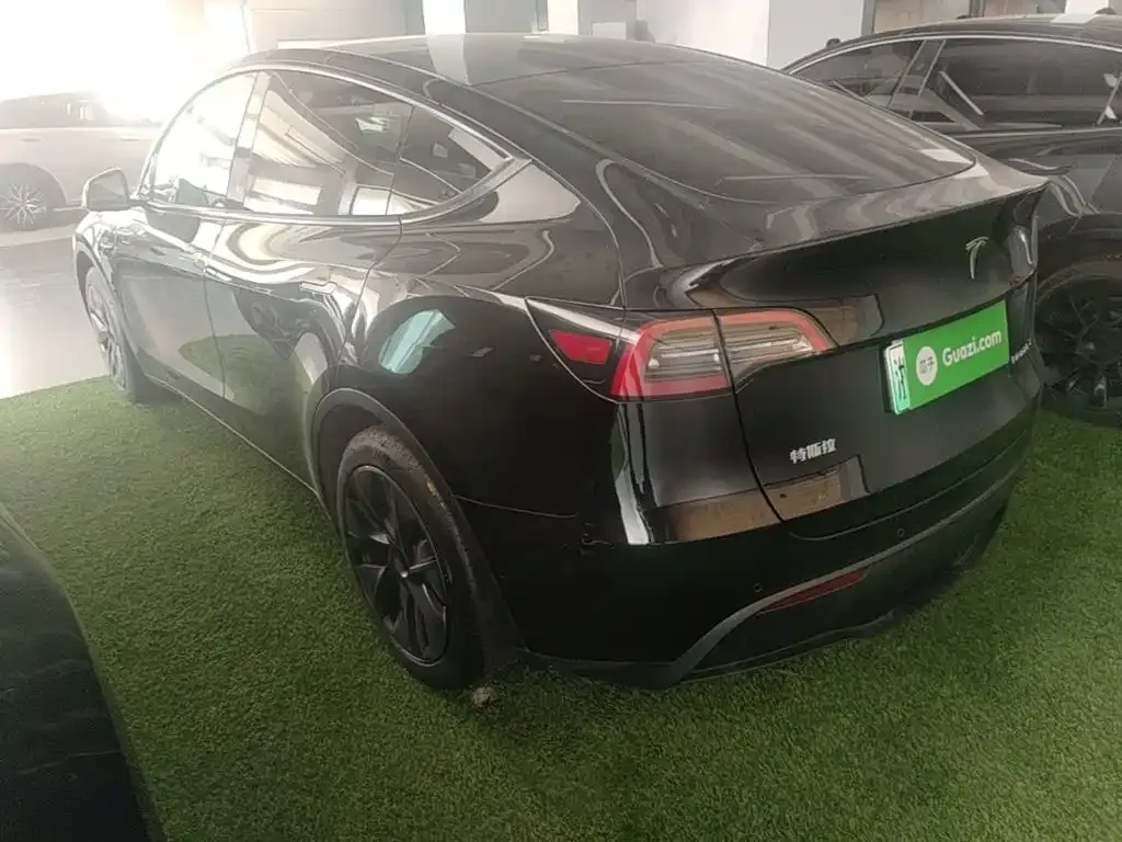 Tesla Model Y — фото 8