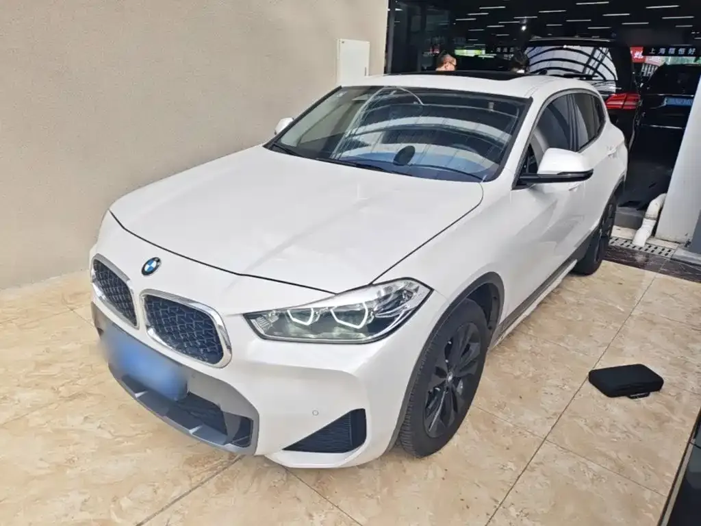BMW X2 2023 из CN, фото 10