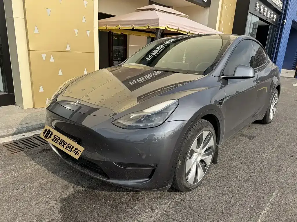 Tesla Model Y — фото 1