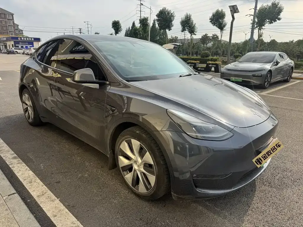 Tesla Model Y — фото 9