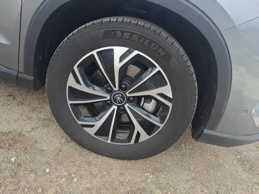 BYD Pro New Energy — фото 3