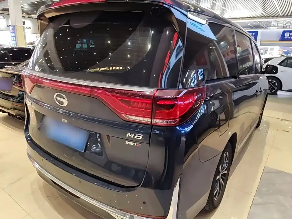 GAC Motor Trumpchi M8 2024 из CN, фото 9
