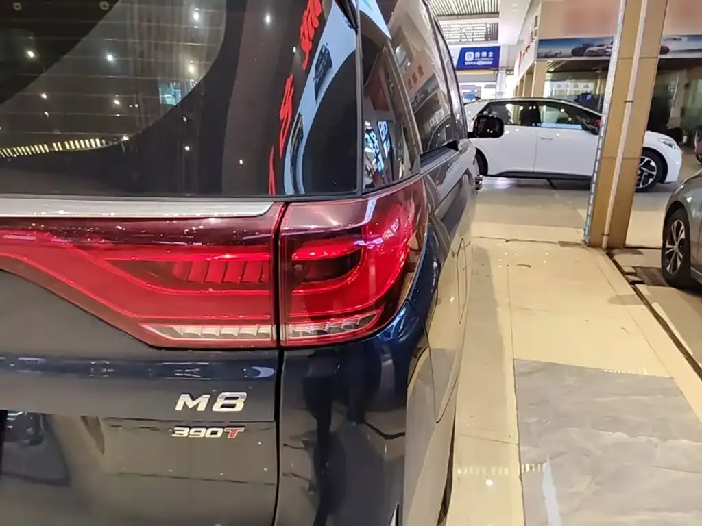 GAC Motor Trumpchi M8 2024 из CN, фото 8