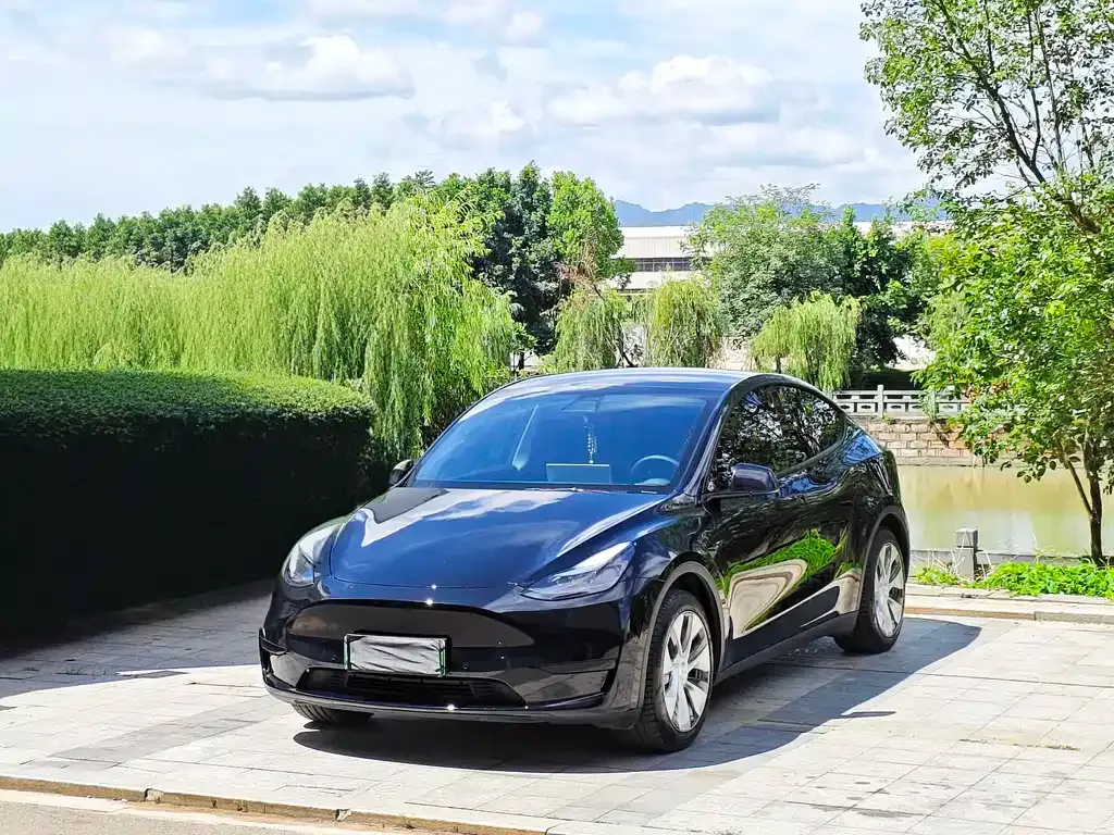 Tesla Model Y — фото 1