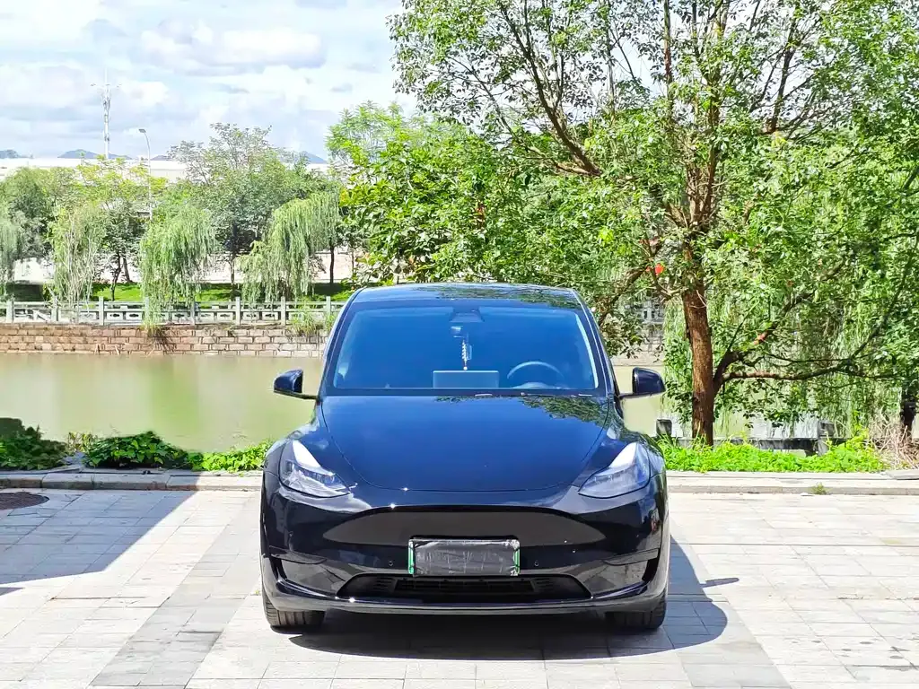 Tesla Model Y — фото 9