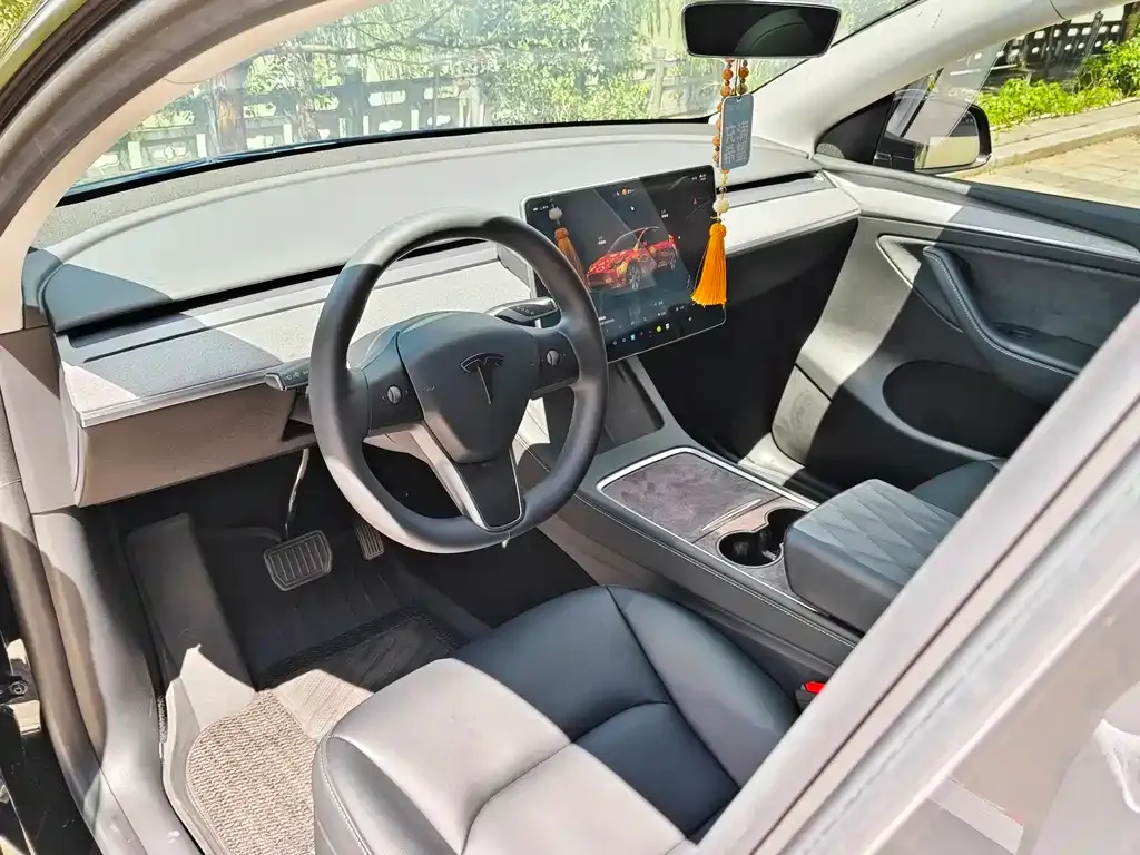 Tesla Model Y — фото 8