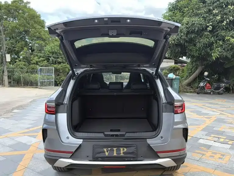 BYD PLUS New Energy — фото 6