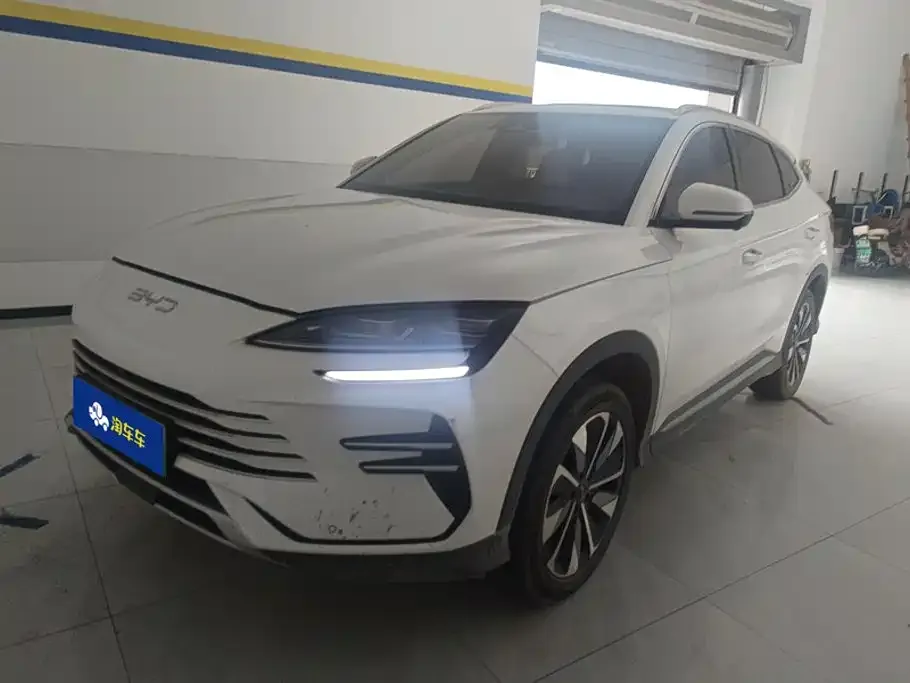 BYD PLUS New Energy — фото 1