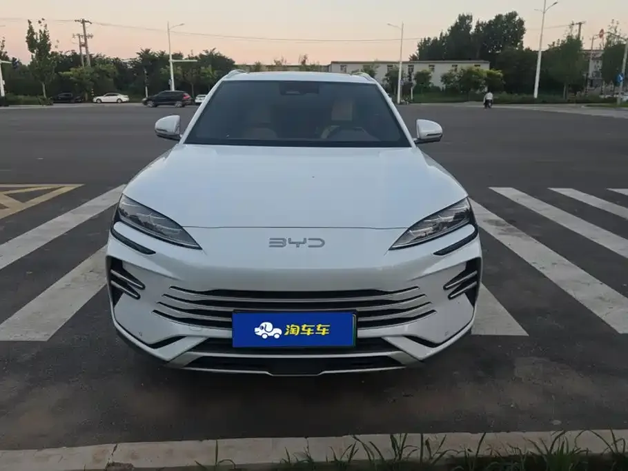 BYD PLUS New Energy — фото 4