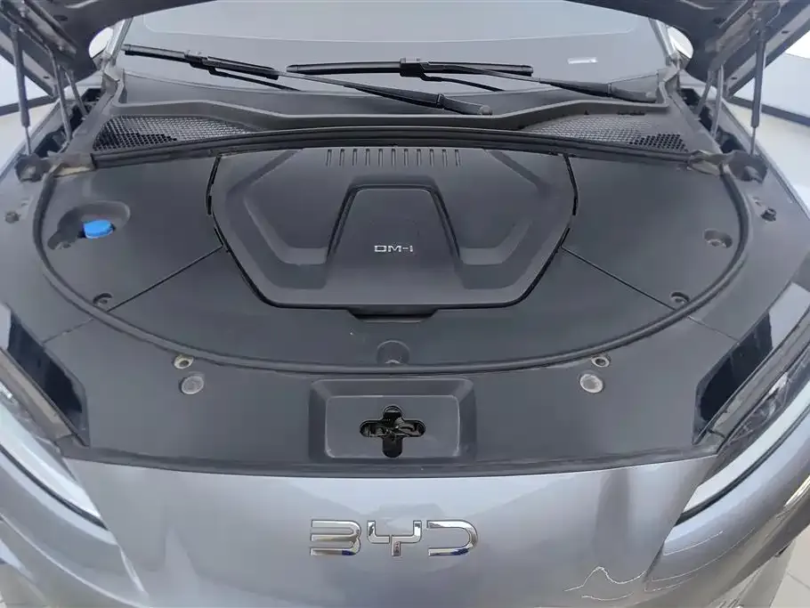 BYD PLUS New Energy — фото 6