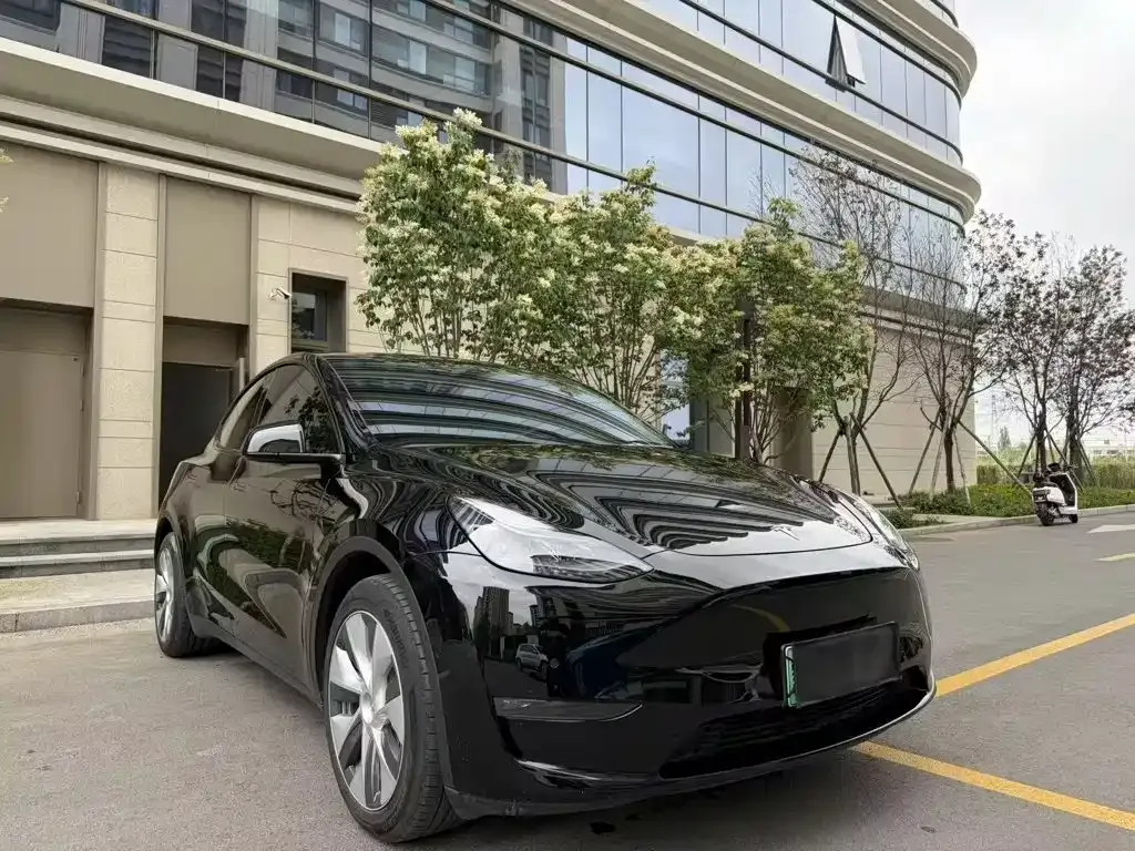 Tesla Model Y — фото 8