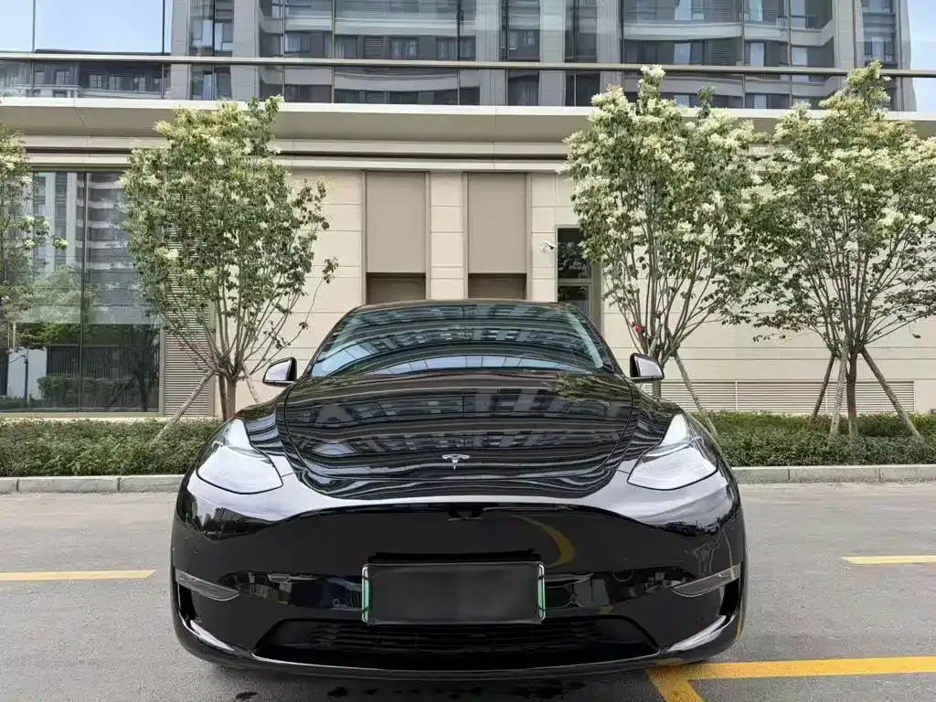 Tesla Model Y — фото 7