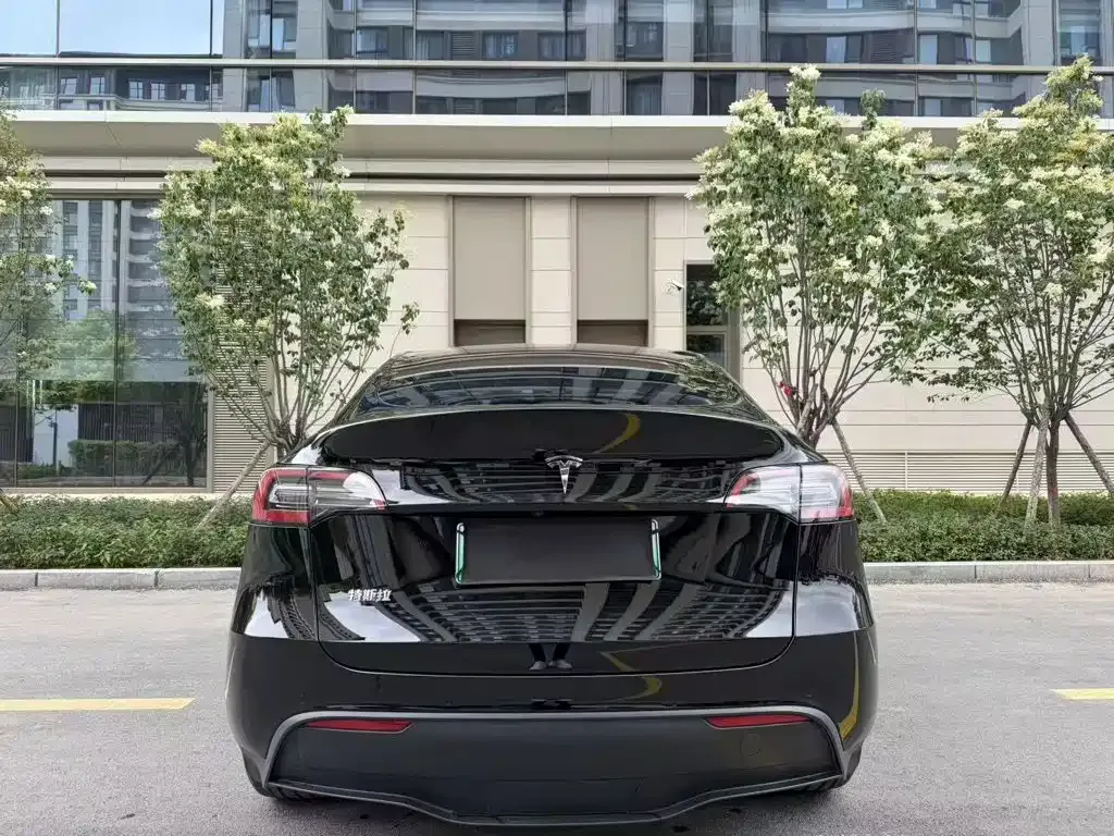 Tesla Model Y — фото 9