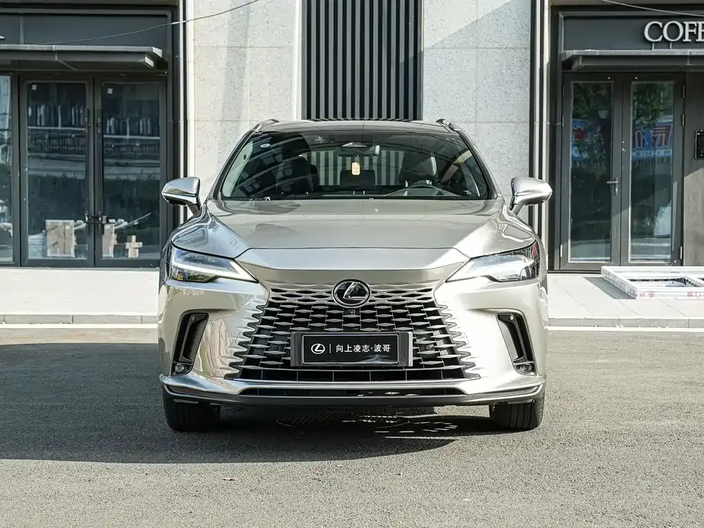 Lexus RX New Energy — фото 8