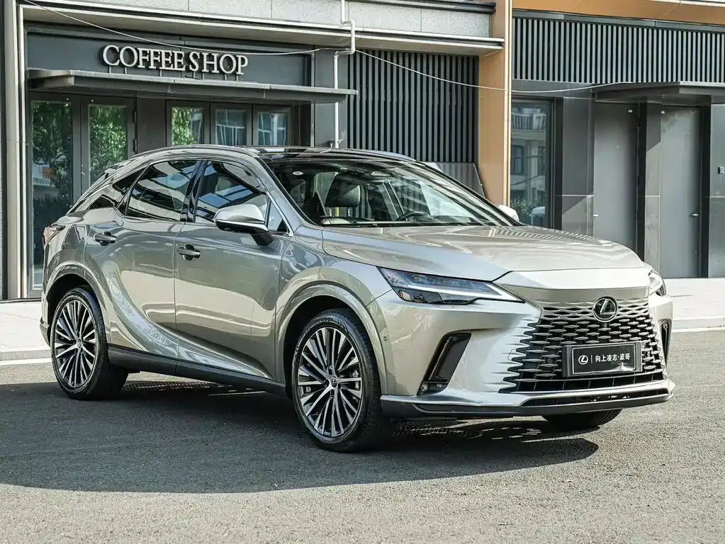 Lexus RX New Energy — фото 7