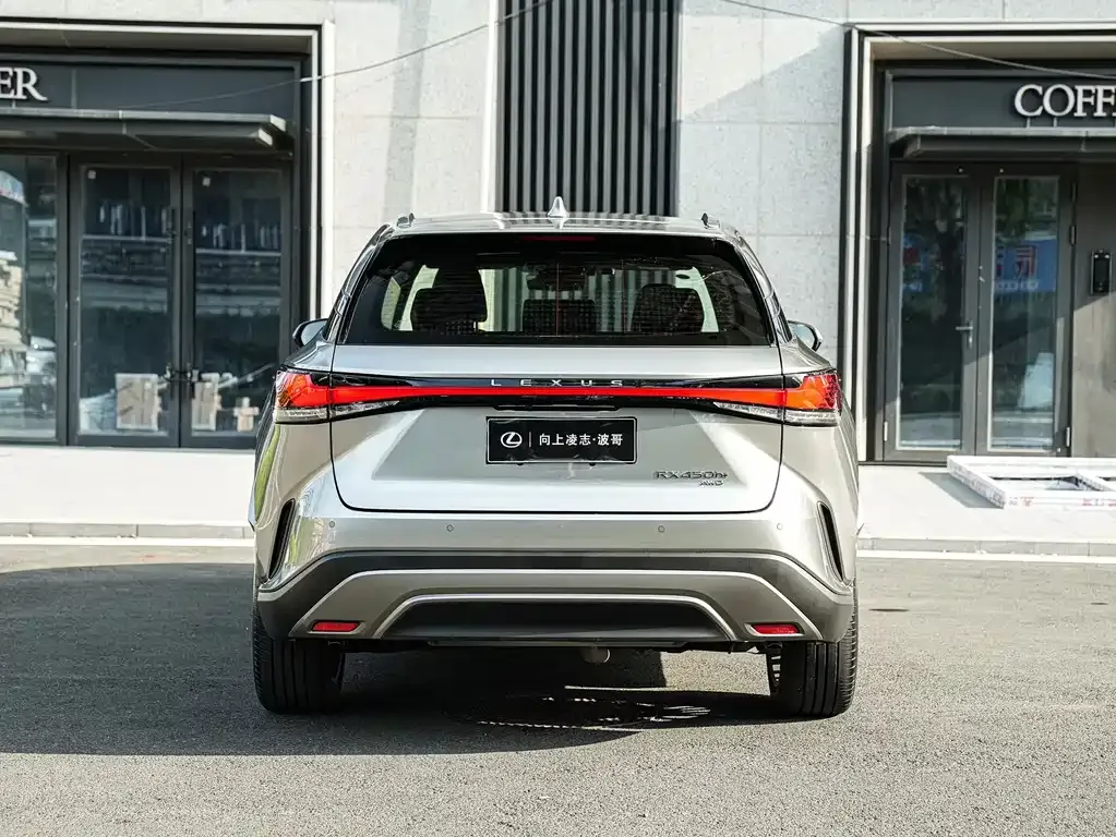 Lexus RX New Energy — фото 10