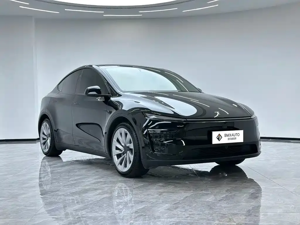 Tesla Model Y — фото 5