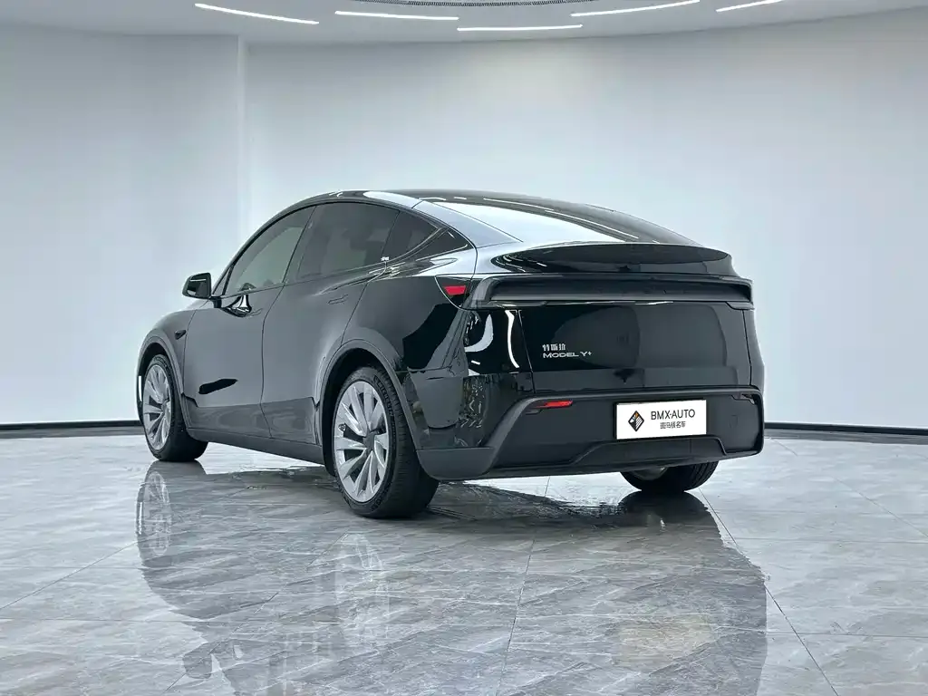Tesla Model Y — фото 10