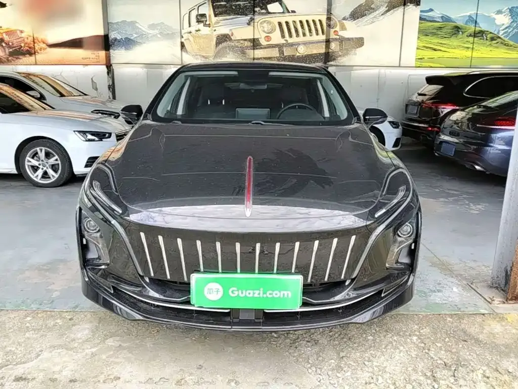 Hongqi E-QM5 2023 из CN, фото 7