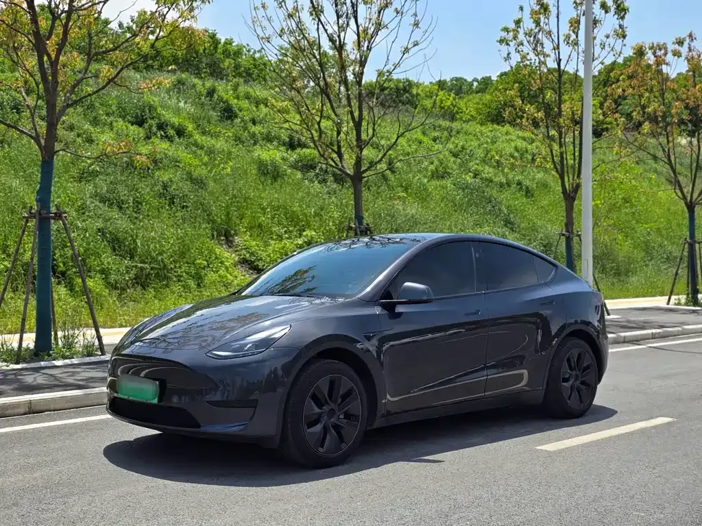 Tesla Model Y — фото 1