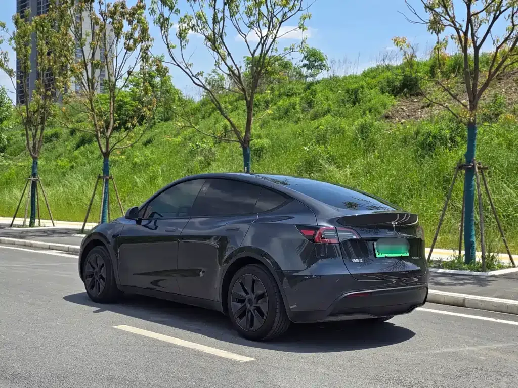 Tesla Model Y — фото 8