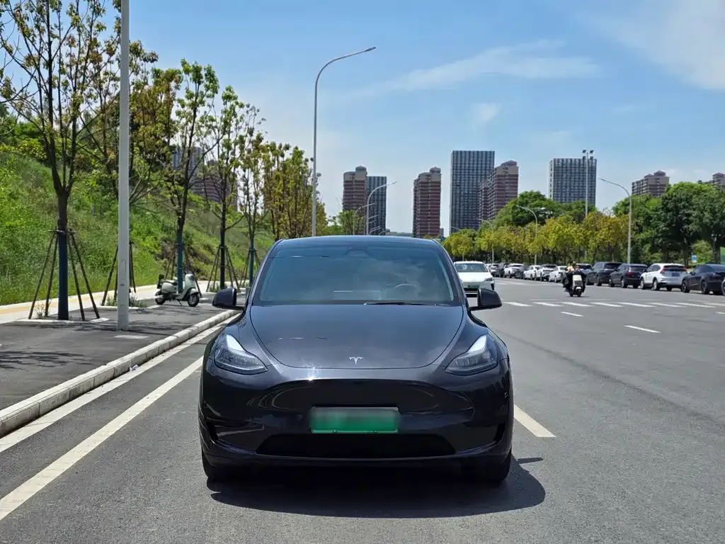 Tesla Model Y — фото 3