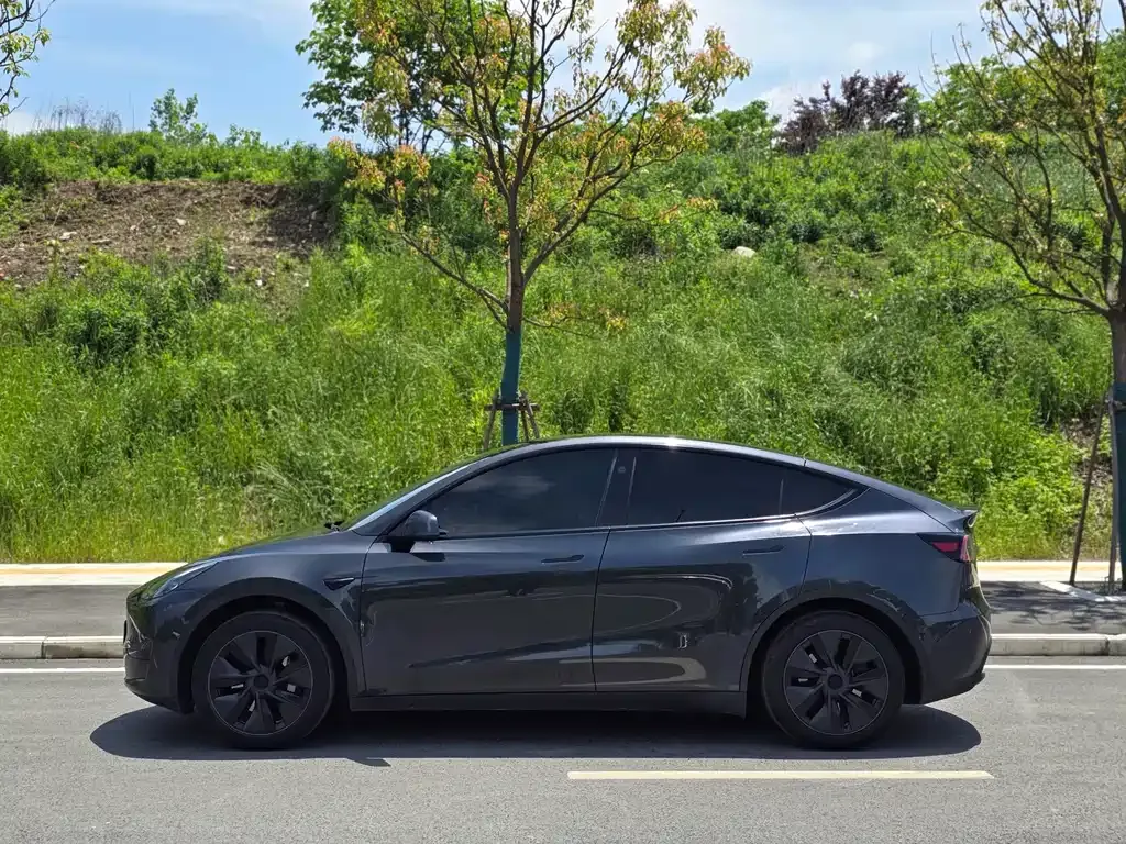 Tesla Model Y — фото 7