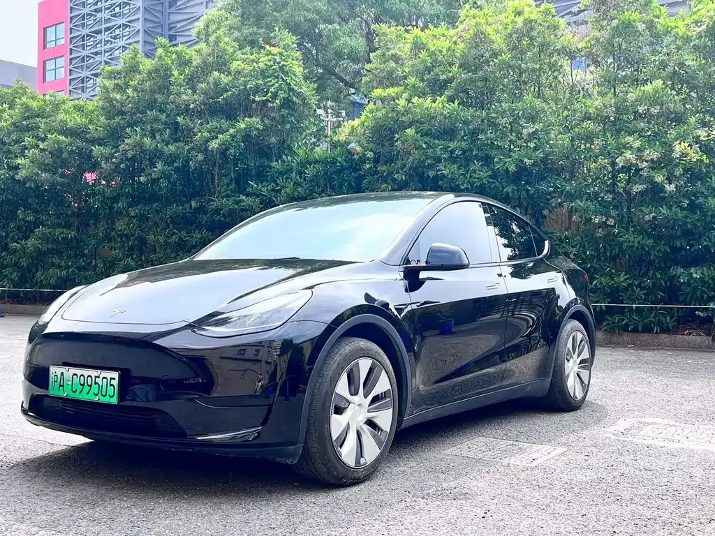 Tesla Model Y — фото 1