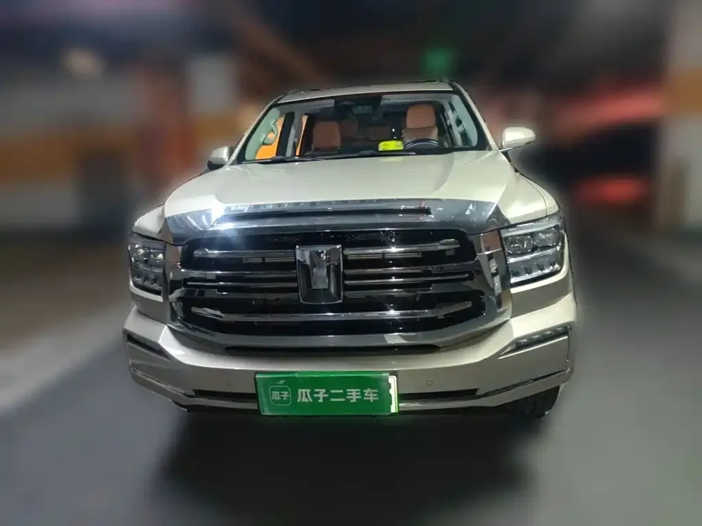 Tank 500 New Energy 2024 из CN, фото 7