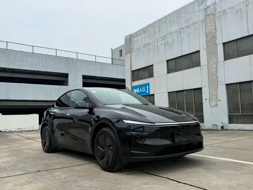 Tesla Model Y — фото 2