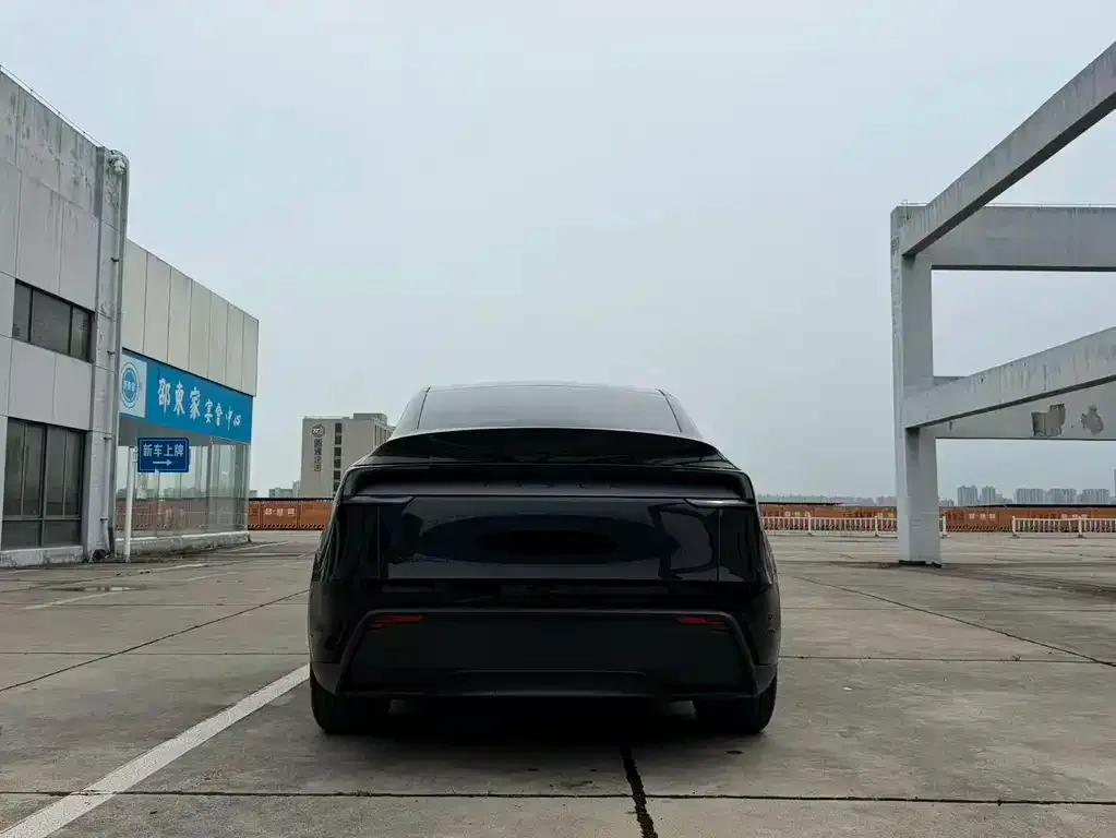 Tesla Model Y — фото 5