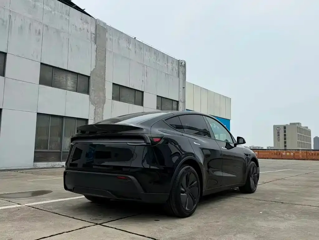 Tesla Model Y — фото 9