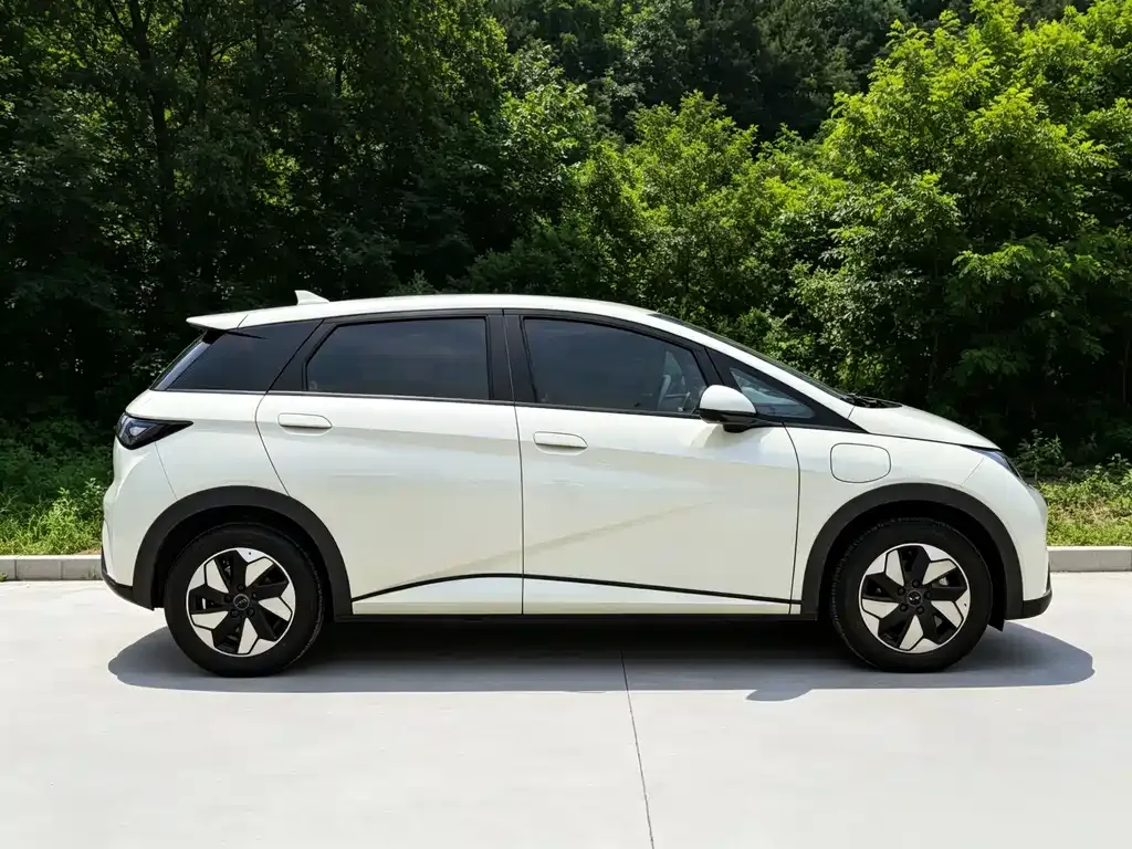 BYD Dolphin 2025 из CN, фото 8