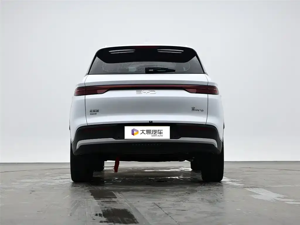 BYD Pro New Energy — фото 2