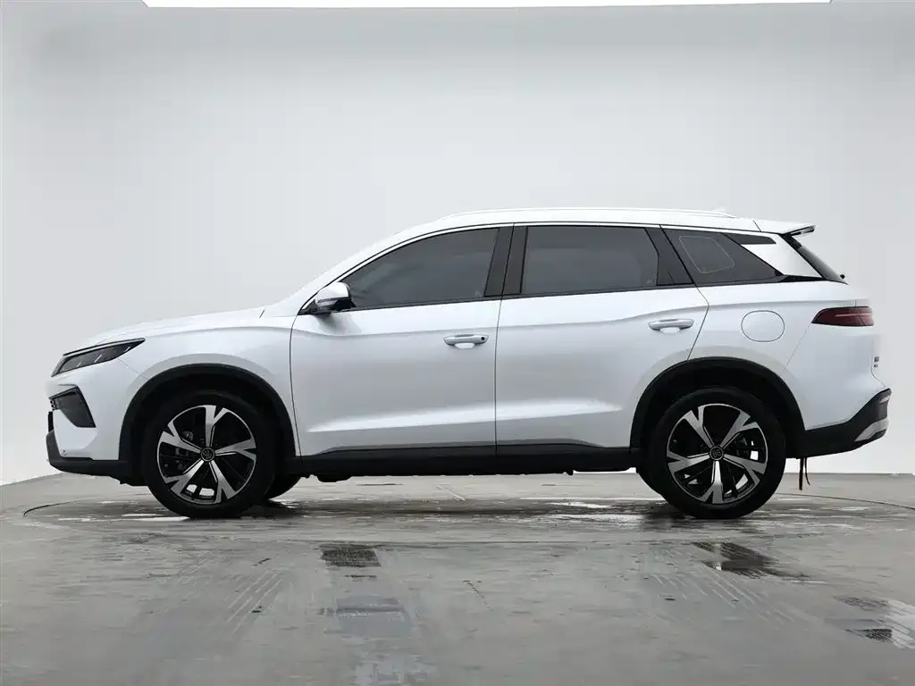 BYD Pro New Energy — фото 4