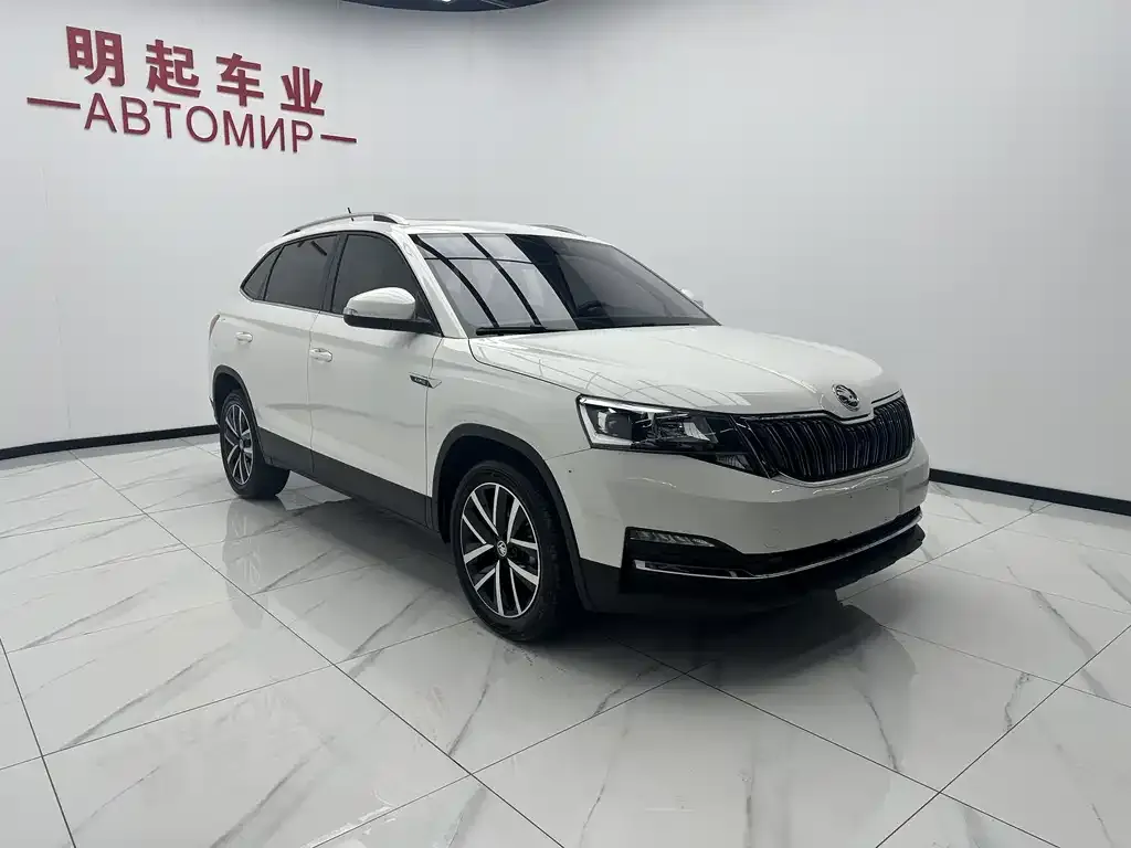 Skoda Kamiq — фото 8