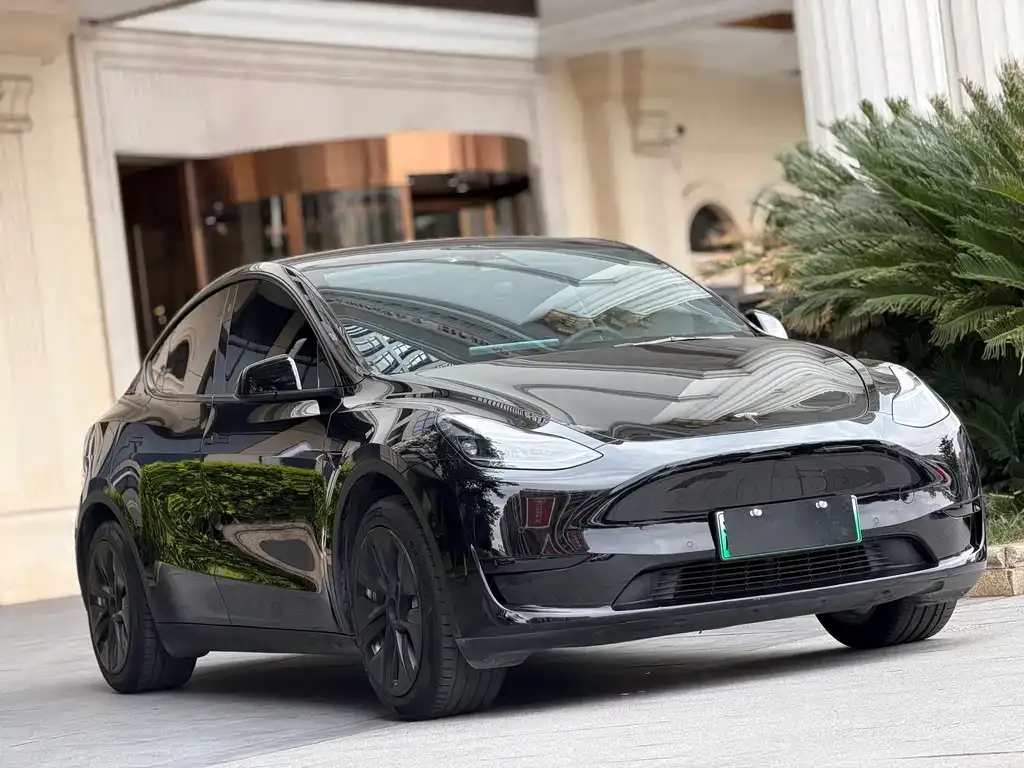 Tesla Model Y 2022 из CN, фото 3
