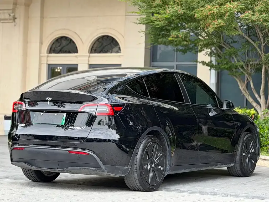 Tesla Model Y 2022 из CN, фото 6