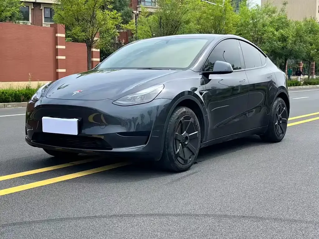 Tesla Model Y — фото 1