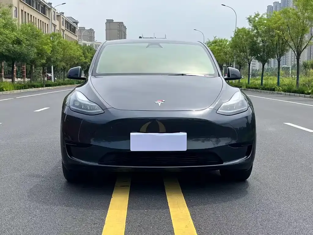 Tesla Model Y — фото 7