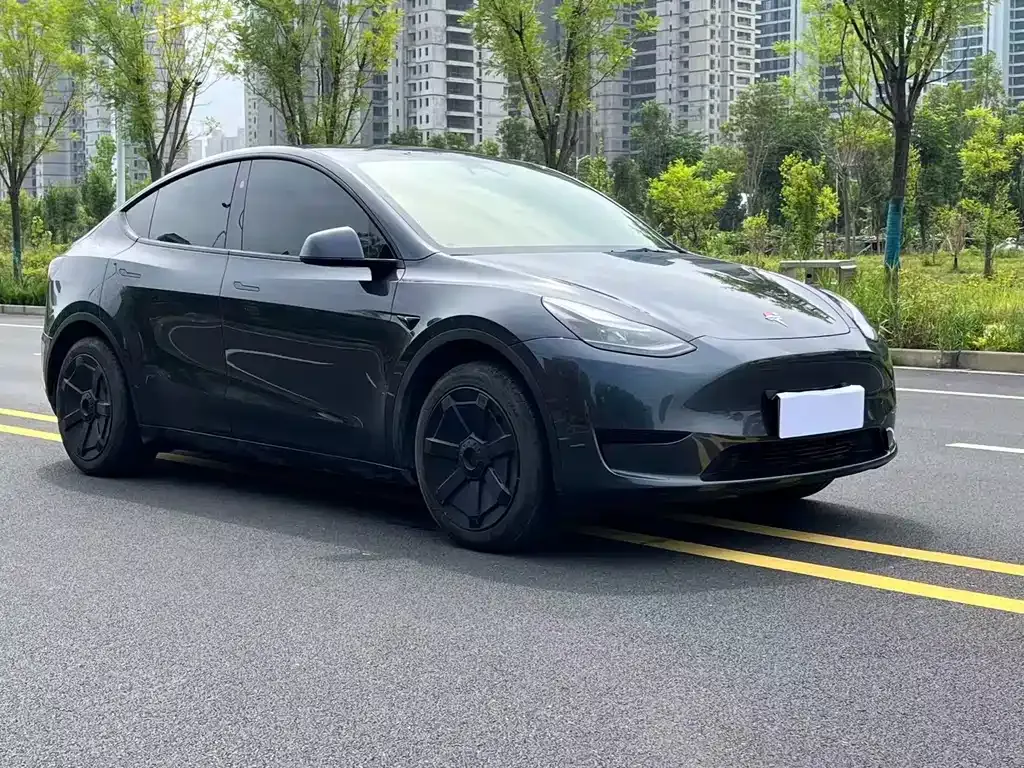 Tesla Model Y — фото 8