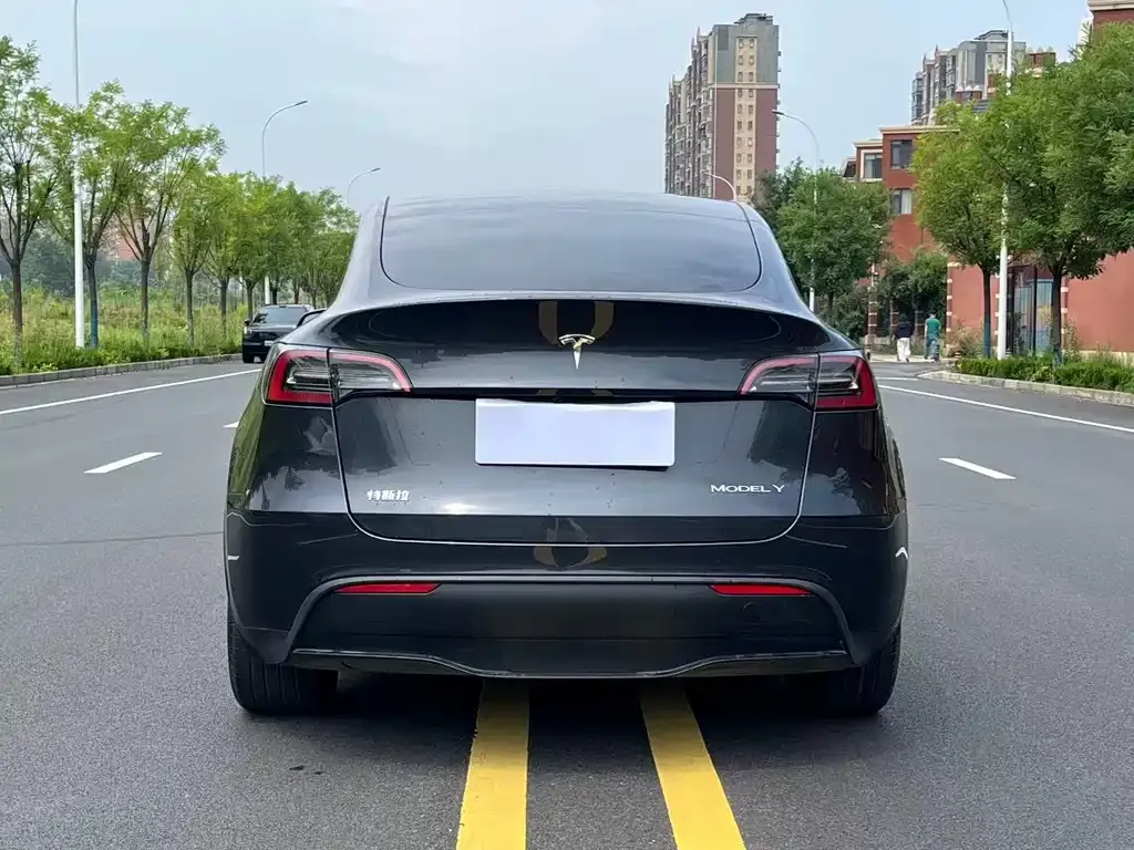 Tesla Model Y — фото 2