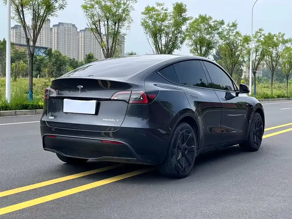 Tesla Model Y — фото 5